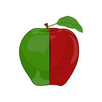 Apple Fruit two color red and green vector