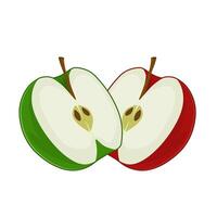 Apple Fruit red and green vector
