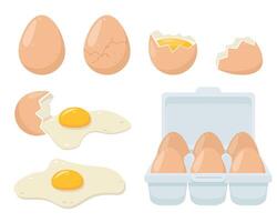 Set of fresh whole eggs in box, broken eggs, fried eggs, yolks and whites, eggshells. Ingredients for baking and cooking. vector