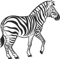 Minimalist Zebra Drawing with Bold Stripe Patterns vector