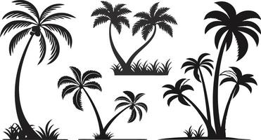 Palm Tree Silhouettes Set for Summer and Beach Art vector