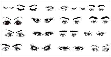 A set of different eyes and eyelashes vector