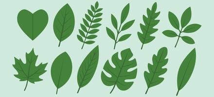 Set of Green Leaf With Various Shapes Flat Illustrations vector