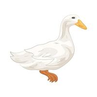 Illustration of duck vector
