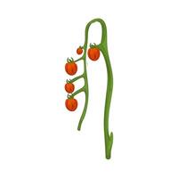 Illustration of tomato plant vector