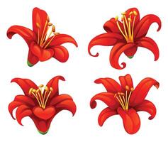 Set of red lilies with curled petals and soft shading for design use. Cartoon illustration vector