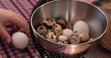 Boiled quail eggs prepared for cooking using fresh organic eggs with hand reaching for one available in a bowl photo