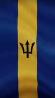 Barbados Waving Flag in Vertical Orientation. Realistic Flag Animation. Seamless Loop Background. video