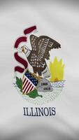 Illinois State Waving Flag in Vertical Orientation. Realistic Flag Animation. Seamless Loop Background. video