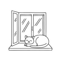 Ragdoll cat resting on a windowsill looking outside vector