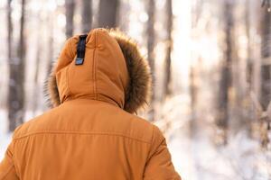 Man walking through snowy forest in warm jacket at sunrise, back view. Solitude, lonely, and connection with winter nature. photo