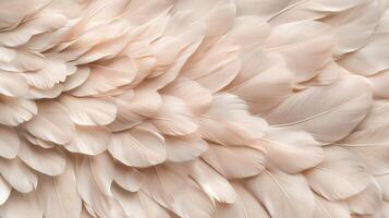 Close up of a feathery texture, with a focus on the intricate details of the feathers. Scene is serene and calming, as the viewer is drawn in by the delicate beauty of the feathers photo