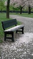 A bench sitting on a park path photo