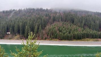 Verdant artificial lake nestled among misty mountain peaks, pine-covered slopes creating ethereal landscape with dense forest and tranquil green waters enveloped by natural wilderness video