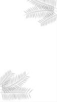 Blank white vertical background animation with palm leaf shadows. Suitable for wallpaper, product, presentation, etc. video