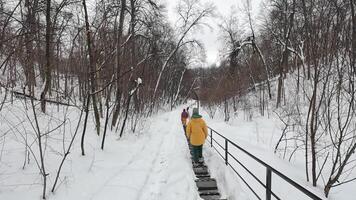 Explore a stunning winter trail with snowcovered ground and bare trees as people stroll peacefully along a railing in a serene, frosty backdrop, ideal for outdoor adventures video