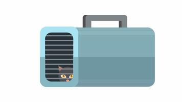 Cat. Cat in a carrier box, cartoon animation with alpha channel video