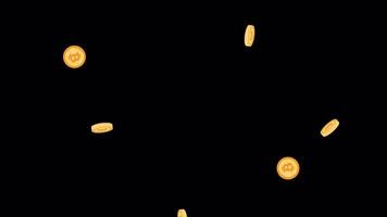 The bitcoin coin. Animation of cryptocurrency, alpha channel. Cartoon. video