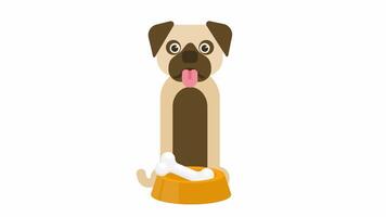 The dog is eating. A pet with a bone on a plate, cartoon animation with alpha channel video