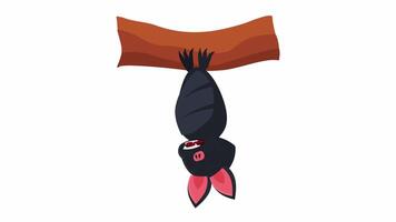 Bat. An animal bat sleeps on a tree branch, cartoon animation with alpha channel. video