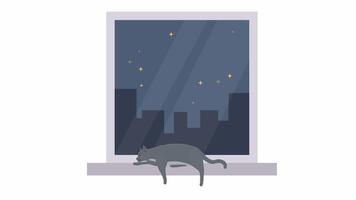Cat. A cat is resting on the windowsill, cartoon animation with alpha channel video