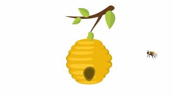A beehive with bees. Beekeeping, cartoon animation with alpha channel video