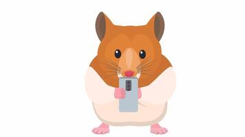 A hamster with a phone. An animal is playing a game on a smartphone, cartoon animation with an alpha channel video
