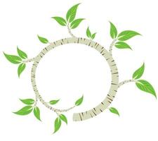 A round frame with birch branch. vector