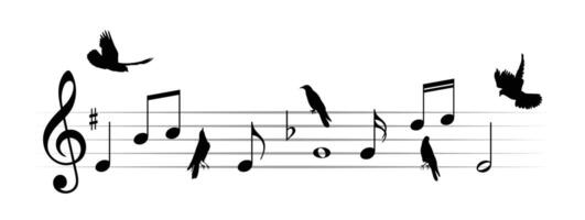 Music notes with birds. vector