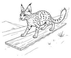 Wild Caracal Sliding Down a Desert Dune coloring page vector