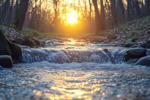 Small waterfall flowing on creek at sunset in forest photo