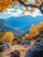Hiking trail covered with yellow leaves in autumn mountains photo