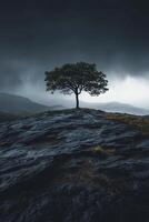 Lonely tree growing on a rocky hill under a stormy sky photo