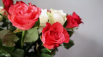 Bouquet of red and white roses on a neutral background. Close-up of a beautiful bouquet of red and white roses with green leaves, captured against a soft neutral background. photo