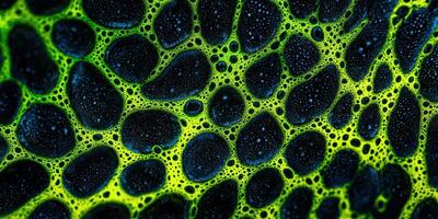 A close up of bubbles in a black and yellow pattern photo