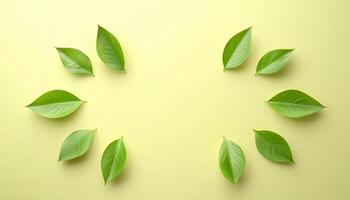 Arranged green leaves circle copy space peach solid background photo