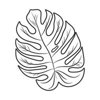 Monstera Leaf Isolated Illustration. Outline modern style. Elegant and simple black botanical sketch for summer projects and designs vector