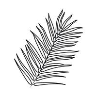 Palm Leaf Illustration. Outline modern style. Elegant and simple black botanical sketch for summer projects and designs vector