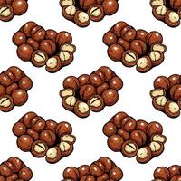 Seamless macadamia clusters pattern in hand drawn style vector