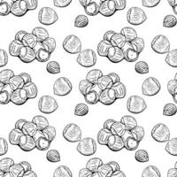 Seamless hazelnut pattern in monochrome hand drawn sketch style vector