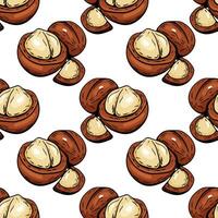 Seamless macadamia nut pattern in colorful hand drawn style vector