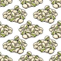 Pistachio seamless pattern with hand drawn colorful nuts vector
