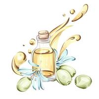 Olives and olive oil in a beautiful watercolor illustration highlighting Italian cuisine and nature vector