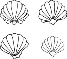Four Outline Drawings of Scallop Shells Ocean Theme vector