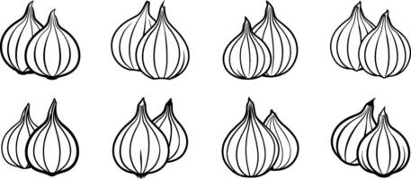 Eight Line Drawings of Onions Pairs in Various Positions vector
