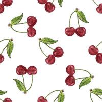 Hand drawn seamless pattern with cherry pairs and green leaves, vintage red fruit sketch vector