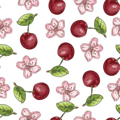 Hand drawn seamless pattern with cherries and cherry blossoms in vintage sketch style, retro botanical food illustration