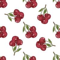 Hand drawn seamless pattern with cherry trios and leaves, vintage red fruit sketch vector