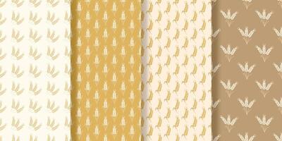 Seamless pattern of ripe wheat ears vector