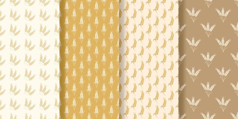 Seamless pattern of ripe wheat ears